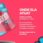 Creatina 3 EM 1 BIGBOOM