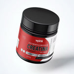Creatina WP - 240g